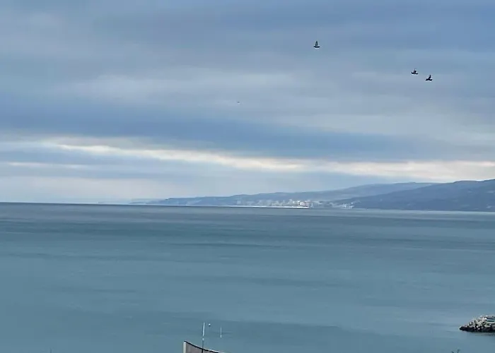 Petar Aparts * Balchik